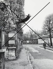 Photo yves klein d'occasion  Toulouse-