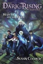 Silver tree paperback for sale  Montgomery