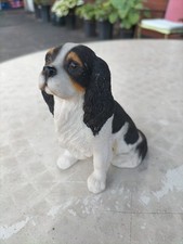 Springer spaniel dog for sale  OLDBURY