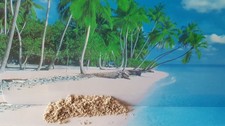 Strandsand beachsand mauritius gebraucht kaufen  Köln