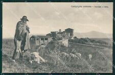 Roma città campagna usato  Gambolo
