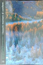 Boschi montani conifere usato Boschi montani conifere usato  Italia