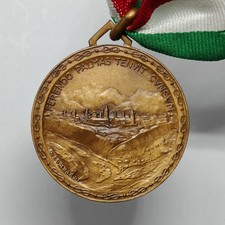 Medaglia divisione fanteria usato  Villaricca