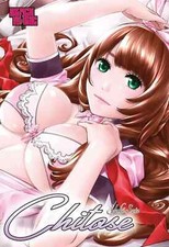 Chitose vol. unico usato  Monterotondo