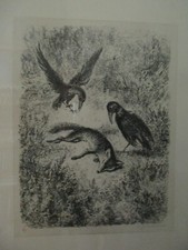 Paul weber litho gebraucht kaufen  Bubenheim, Essenheim, Zornheim