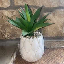 Artificial succulent plant for sale  Denver