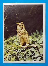 Figurina panini animali usato  Maranello