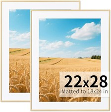 Zlg gold 22x28 for sale  Warsaw