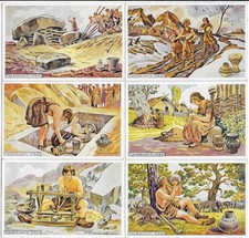 Sammelbilder erdal serie gebraucht kaufen  Herzberg