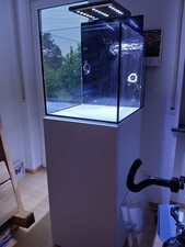 Meerwasser aquarium aqua gebraucht kaufen  Bad Waldsee