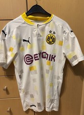 Bvb trikot sasion gebraucht kaufen  Drensteinfurt