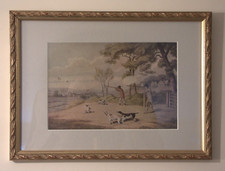 Two pheasant hunters for sale  IPSWICH