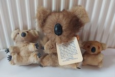 koala bear for sale  RUSHDEN