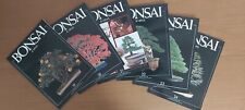 Bonsai news anno usato  Siderno