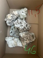 Live marine reef for sale  FARNHAM