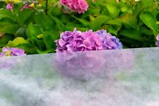 Gsm frost plant for sale  BEAWORTHY