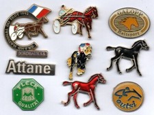 Pin lot pferde gebraucht kaufen  Bremen