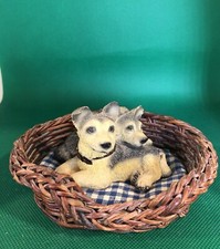 Alsatians puppies big for sale  WISBECH