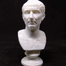 Busto gaio giulio usato  Torino