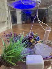 Biorb cube acrylic for sale  ST. ALBANS