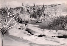 Morzine fir neige d'occasion  Expédié en Belgium