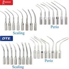 Pontas escaladoras Woodpecker DTE EMS ACTEON Satelec NSK ponta piezo G1 GD1 P3 P1 P3D P2L comprar usado  Enviando para Brazil