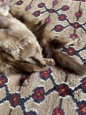 Fox fur stole for sale  LONDON