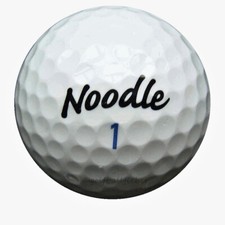 100 noodle long gebraucht kaufen  Brokstedt