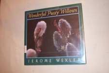 Wonderful pussy willows for sale  North Smithfield