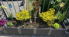 Blumenkästen blumenkübel gö gebraucht kaufen  Groß-Umstadt