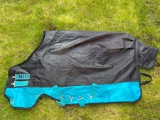 Amigo mio pony for sale  BISHOP'S STORTFORD