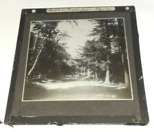 Glass lantern slide for sale  OSWESTRY