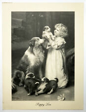 Puppy love john for sale  STOURPORT-ON-SEVERN