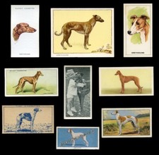 Greyhound dog vintage for sale  UK