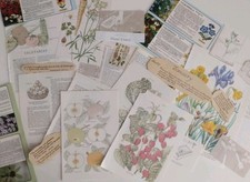 Ephemera job lot for sale  BIRKENHEAD