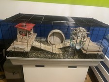 Käfig nager kleintiere gebraucht kaufen  Unterföhring