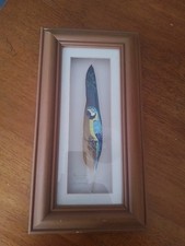 Handpainted. macaw feather. for sale  PAR
