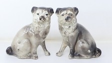 Staffordshire pug dog for sale  SALISBURY