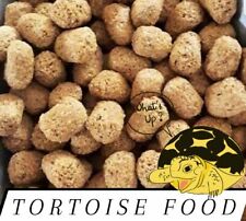 Tortoise iguana reptile for sale  El Monte