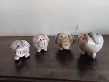 Collection miniture pig for sale Collection miniture pig for sale  HALIFAX