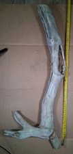 Driftwood aquarium terrarium for sale  Brookwood