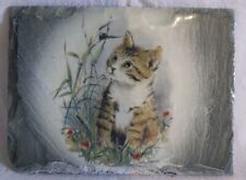 Cadre chat peint d'occasion  Saint-Sorlin-en-Valloire