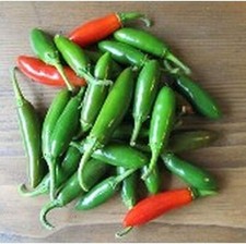 Sementes de pimenta Serrano 24 sementes comprar usado  Enviando para Brazil