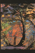 Postkarte brennender wald gebraucht kaufen  Gerlingen