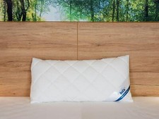 Kopfkissen kissen proneem gebraucht kaufen  Zehdenick