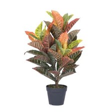 Vickerman t161130 real for sale  Lakewood