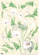 Carta decoupage calle usato  Villanova Mondovi