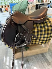 Amerigo vega jump for sale  Suffolk