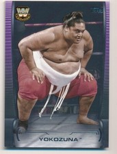 Yokozuna 2021 topps for sale  Maineville
