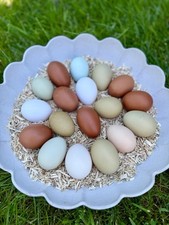 Chicken mixed eggs for sale  LINGFIELD